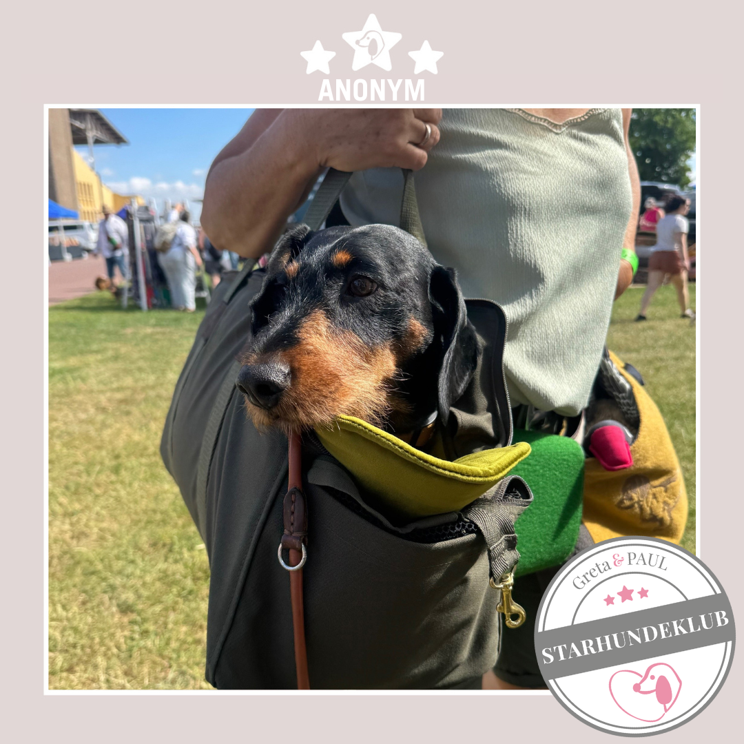 Starhundeklub-Mitglied Anonym liegt in einer gemütlichen, handgefertigten Canvas-Hundetasche von Greta & PAUL.