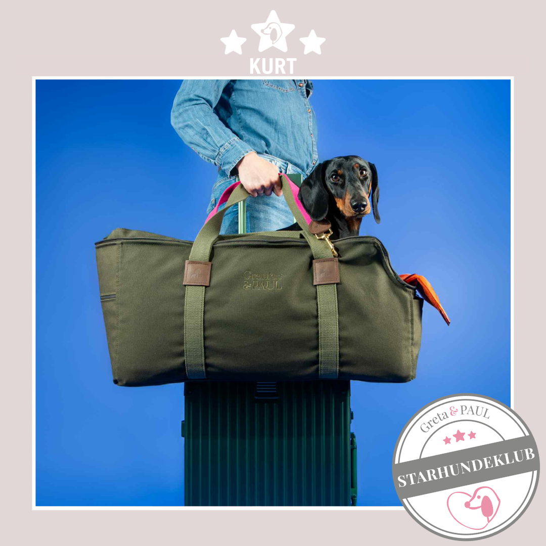 Starhundeklub-Mitglied Kurt in der handgefertigten Greta & PAUL XL Hundetasche mit orangefarbenem Samt-Inlay.