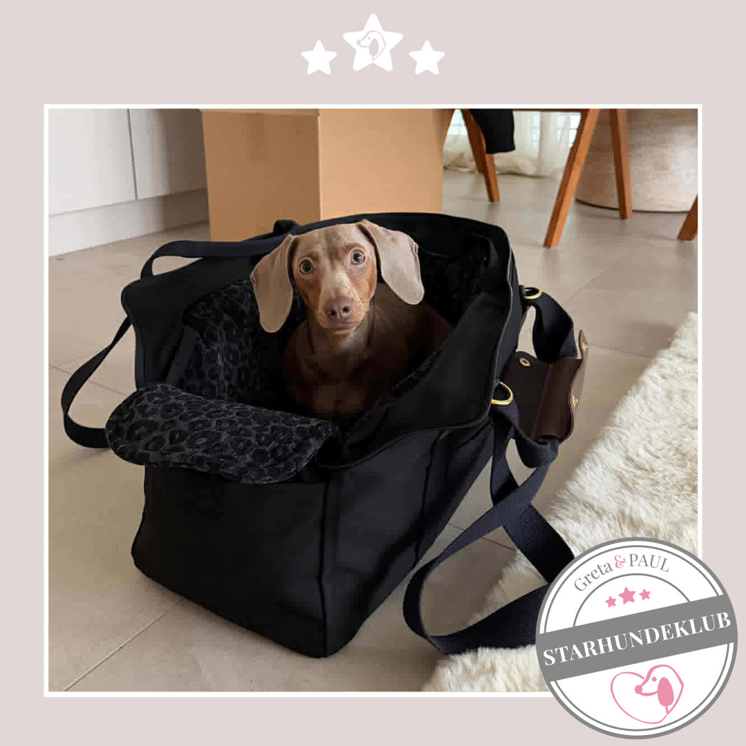 Starhundeklub-Mitglied (ohne Namen) sitzt in einer handgefertigten Greta & PAUL Premium All-Black Hundetasche.