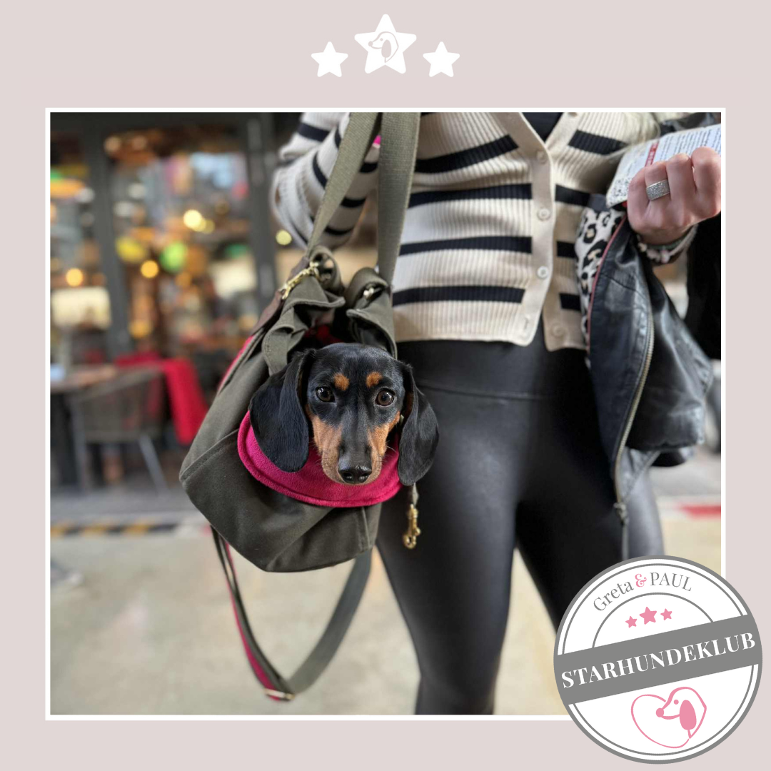 Starhundeklub-Mitglied (Name unbekannt) in der Premium Hundetasche von Greta & PAUL.