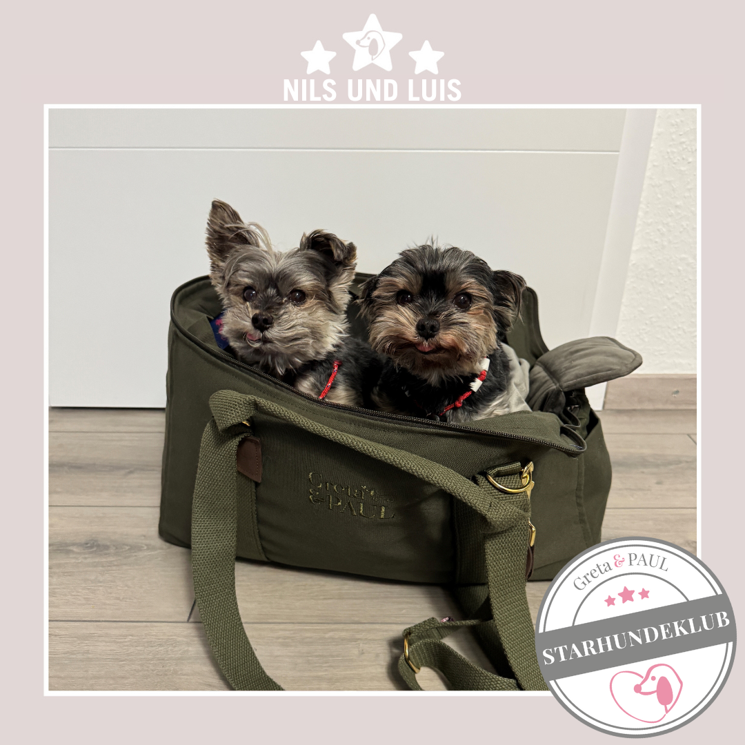 Starhundeklub-Mitglieder Nils und Luis, sitzen in einer gemütlichen, handgefertigten Hundetasche in Khaki von Greta & PAUL.