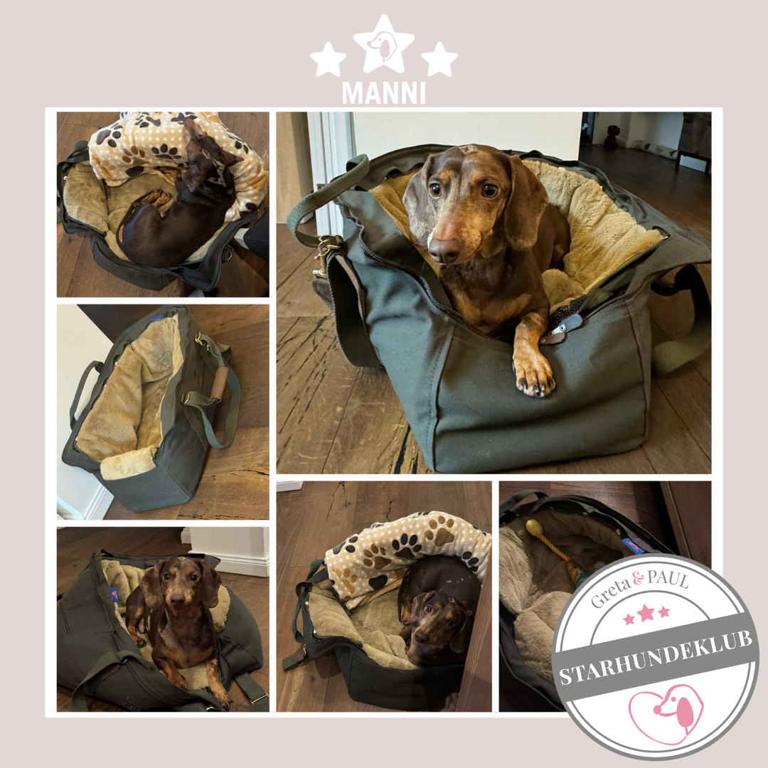Starhundeklub-Mitglied Manni in der handgefertigten Greta & PAUL Hundetasche mit Flausch-Inlay.