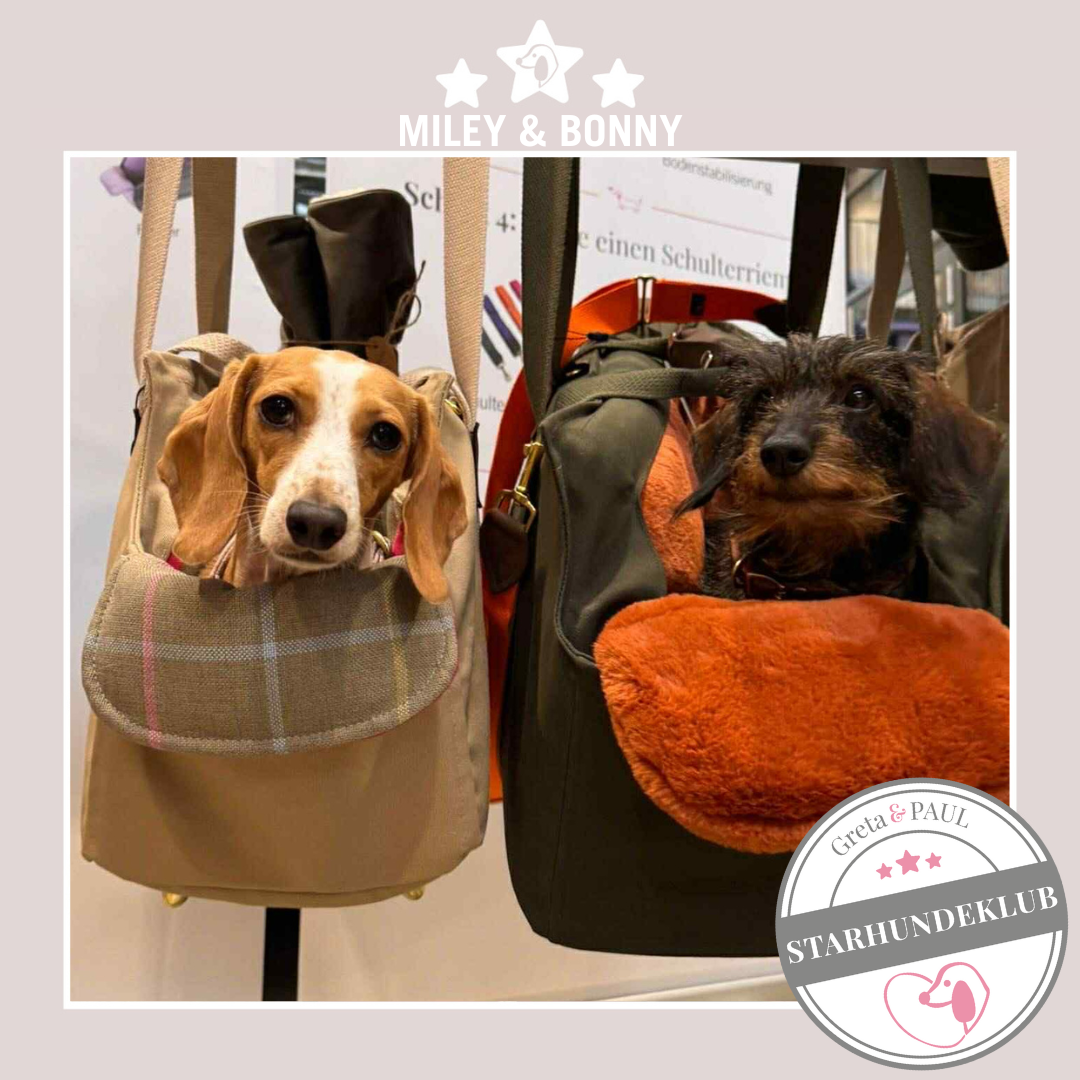 Starhundeklub-Mitglieder Miley und Bonny in den handgefertigten Hundetaschen von Greta & PAUL.