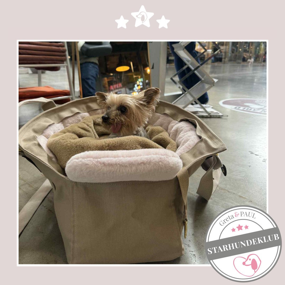 Starhundeklub-Mitglied (Name unbekannt) im Gretas Flausch-Wende Säckchen und Hundetasche mit Flausch-Inlay.