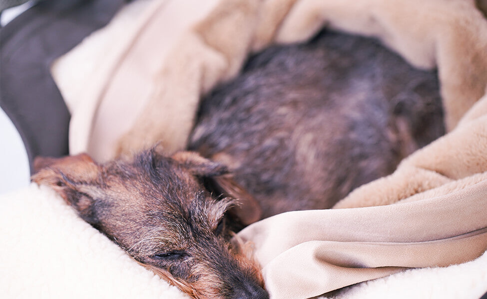 Gretas Flausch-Wende Säckchen 3 in 1