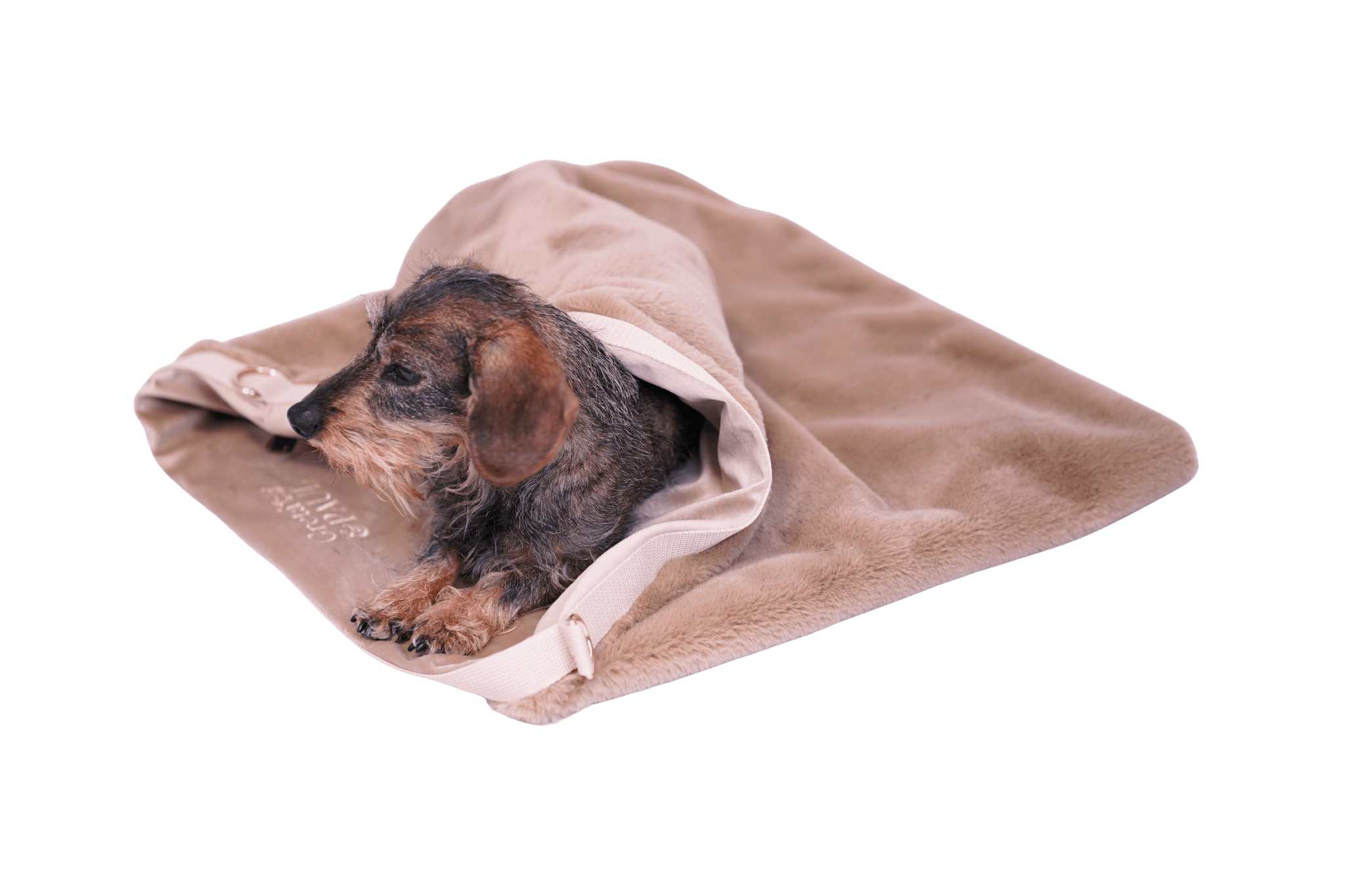 Dackeldame Gretchen kuschelt sich gemütlich in das Greta's Flausch-Wende-Säckchen in Beige-Gold.