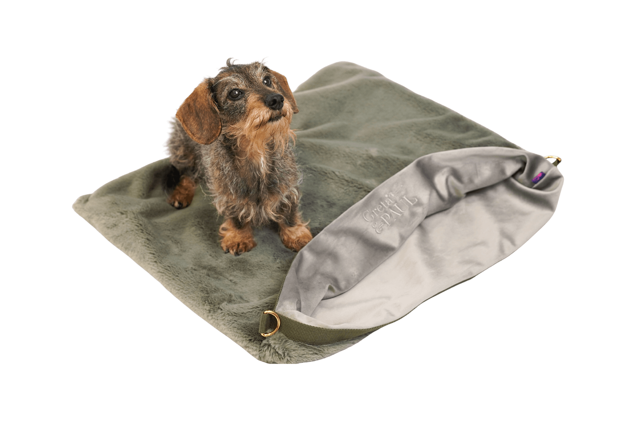 Dackeldame Gretchen sitzt auf dem Greta's Flausch-Wende-Säckchen in Grau-Grün-Silber.