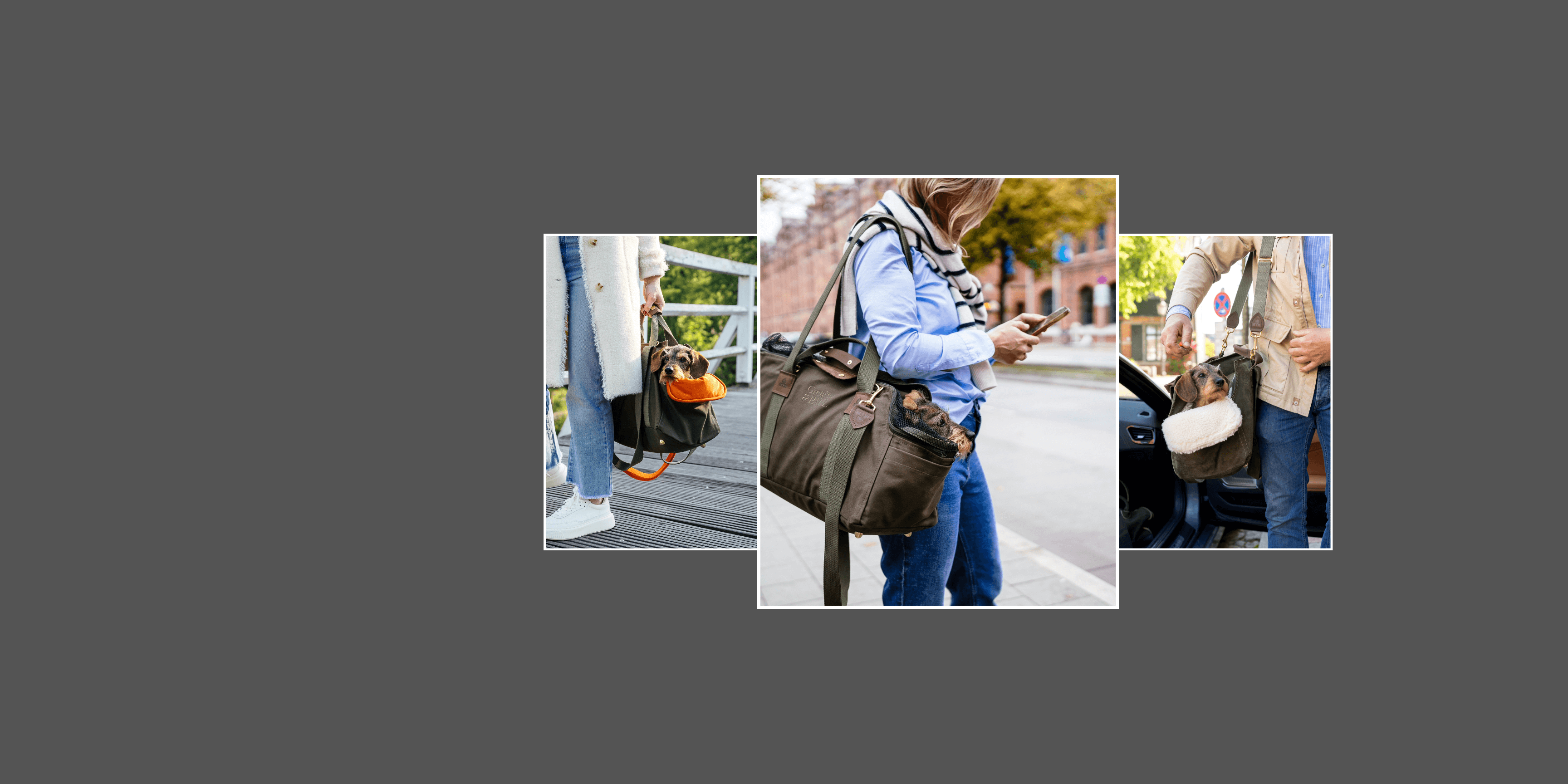 Collage zeigt stilvolle Greta & PAUL Hundetaschen im Einsatz im urbanen Alltag.