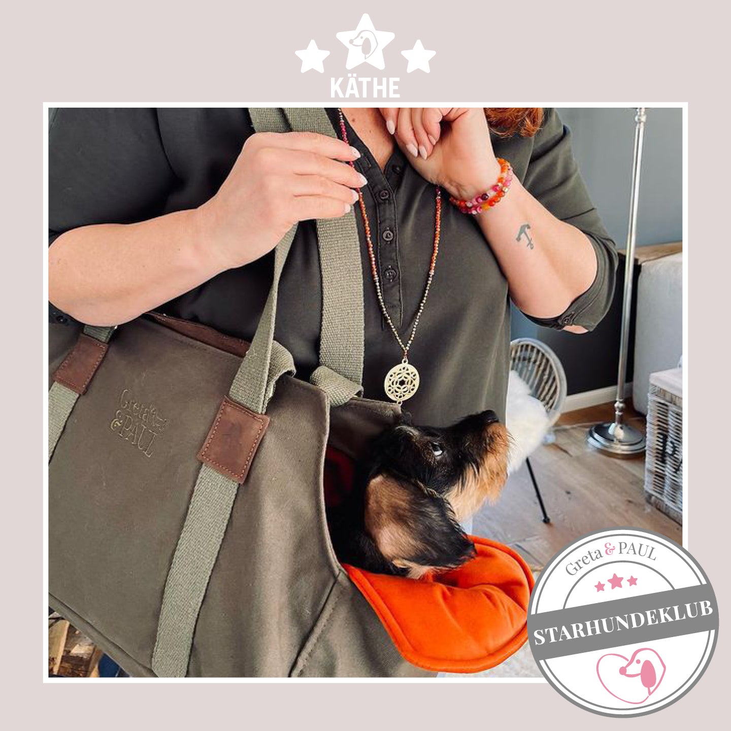 Starhundeklub-Mitglied Käthe liegt in ihrer gemütlichen Canvas-Hundetasche von Greta & PAUL.