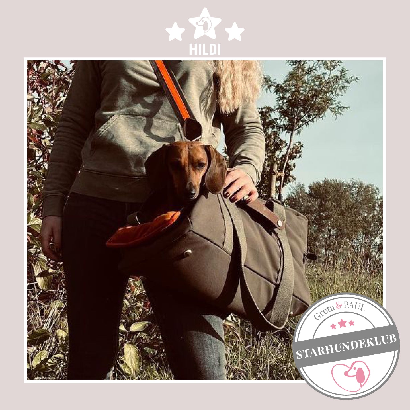 Starhundeklub-Mitglied Hildi sitzt in seiner gemütlichen Canvas-Hundetasche von Greta & PAUL.