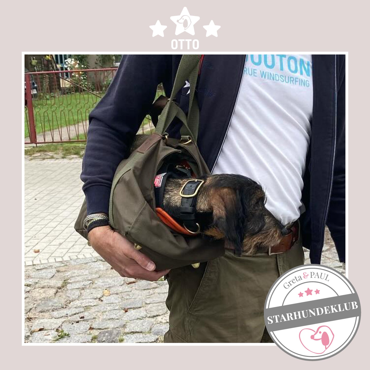 Starhundeklub-Mitglied Otto guckt aus seiner gemütlichen Canvas-Hundetasche von Greta & PAUL.