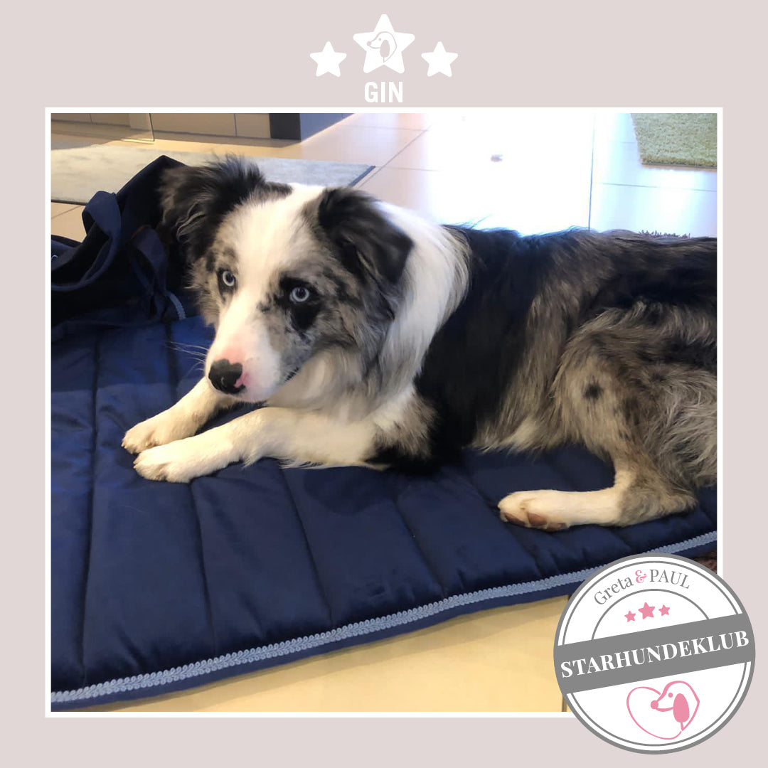 Starhundeklub-Mitglied Gin liegt auf seinem gemütlichen Hundepad von Greta & PAUL.