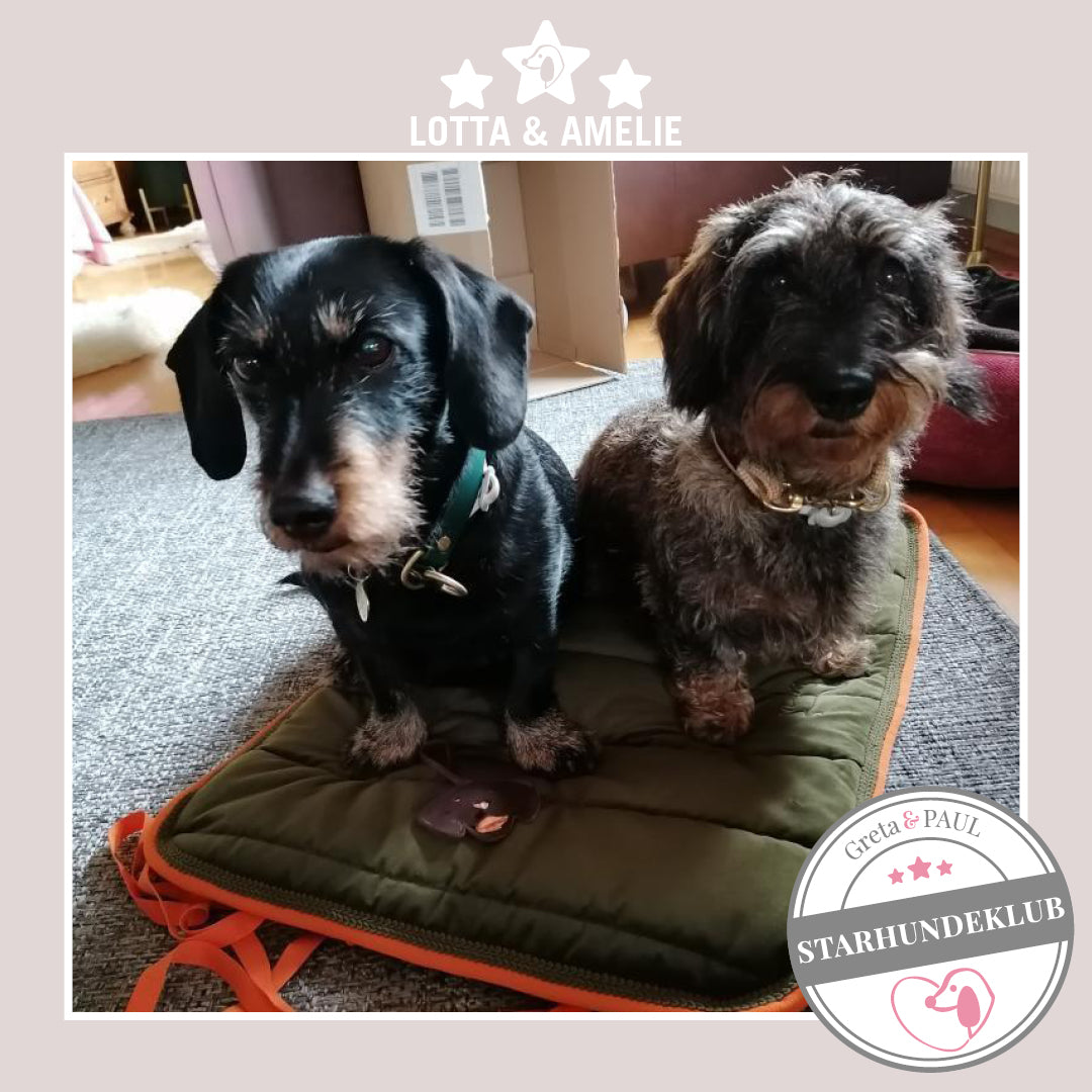 Starhundeklub-Mitglied Lotta und Amelie sitzen auf ihrem handlichen Hundepad von Greta & PAUL stolz im Maul.