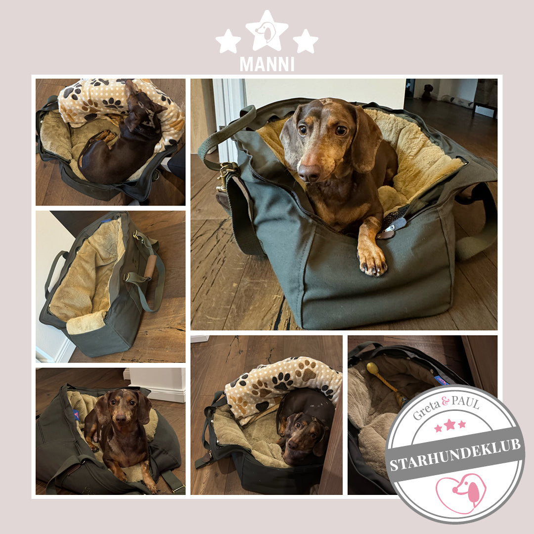 Fotocollage des Starhundeklub-Mitglieds Manni in seiner gemütlichen, handgefertigten Canvas-Hundetasche von Greta & PAUL.