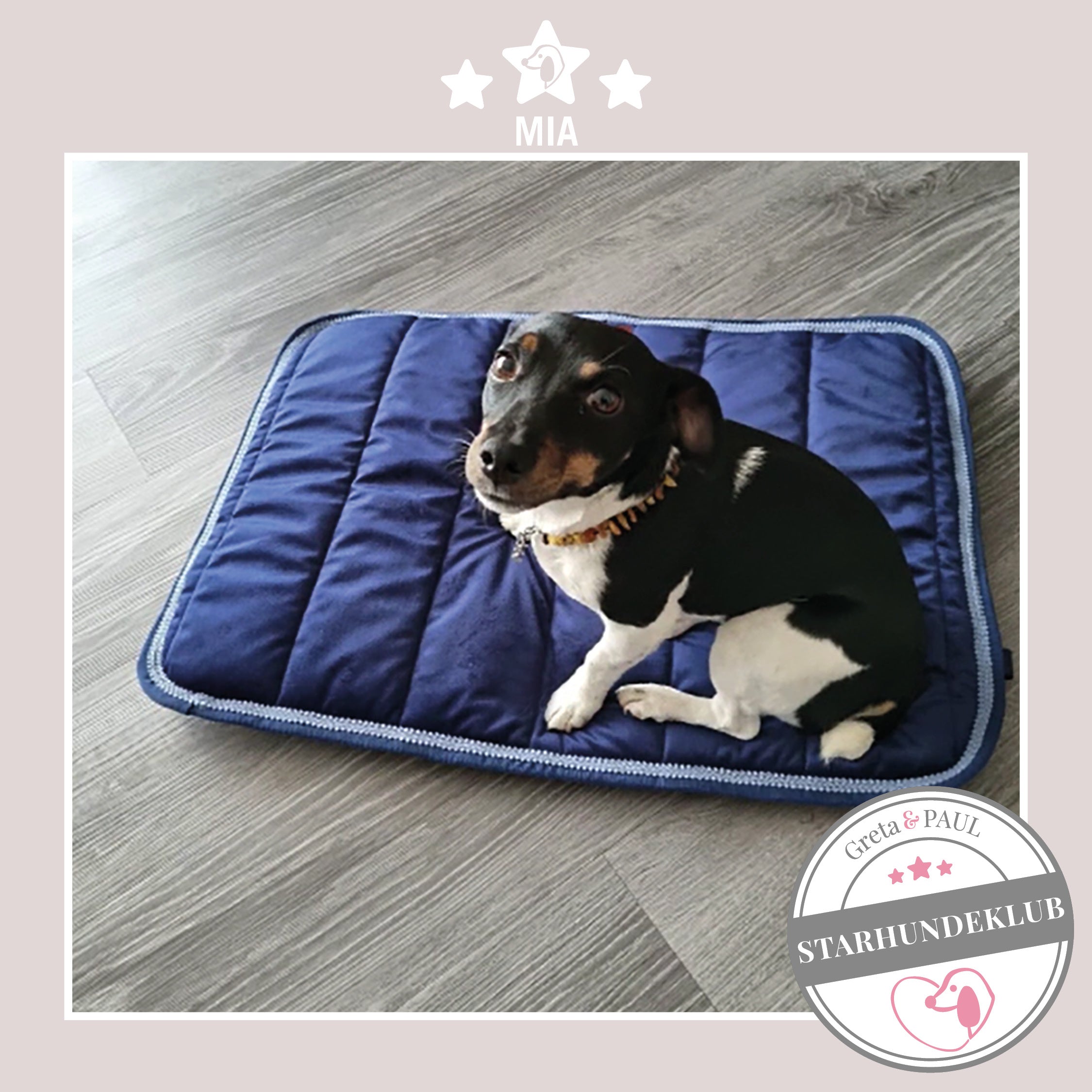 Starhundeklub-Mitglied Mia sitzt auf ihrem Hundepad von Greta & PAUL.