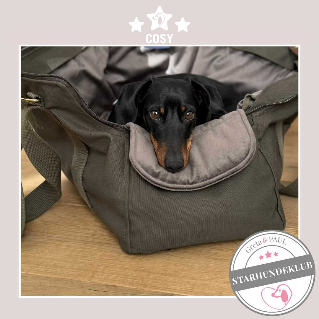 Starhundeklub-Mitglied Cosy liegt entspannt in seiner handgefertigten Greta & PAUL Hundetasche mit samtigen Inlay.