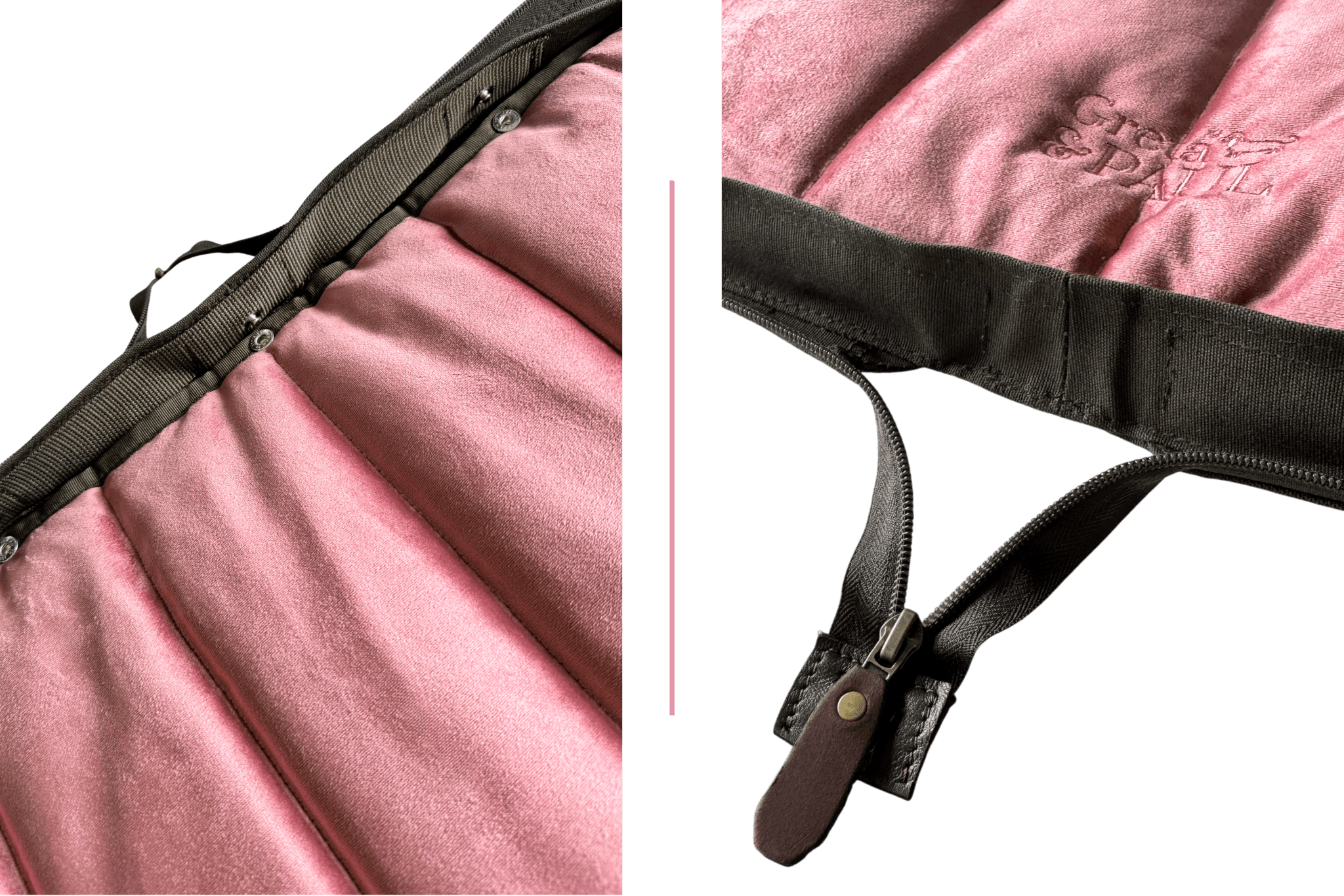 Pre-order: XL Dog Bed 2go in Pocket Size