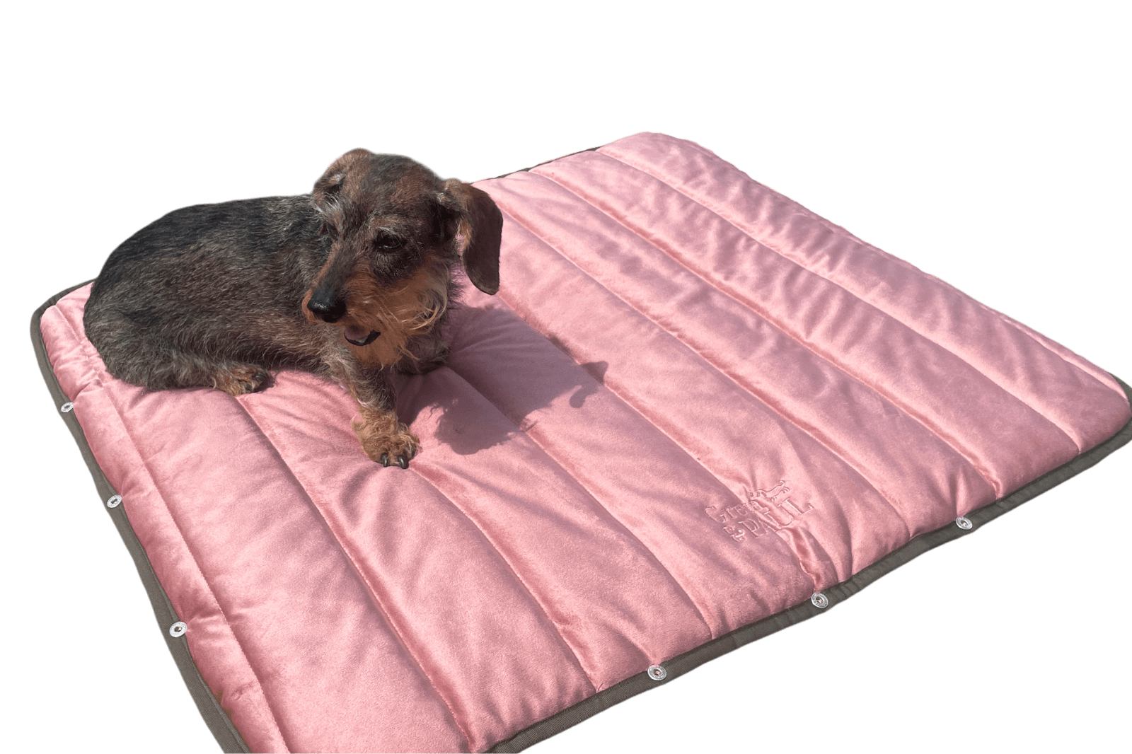 Inlay für XL Hundeplatz 2go im Taschenformat