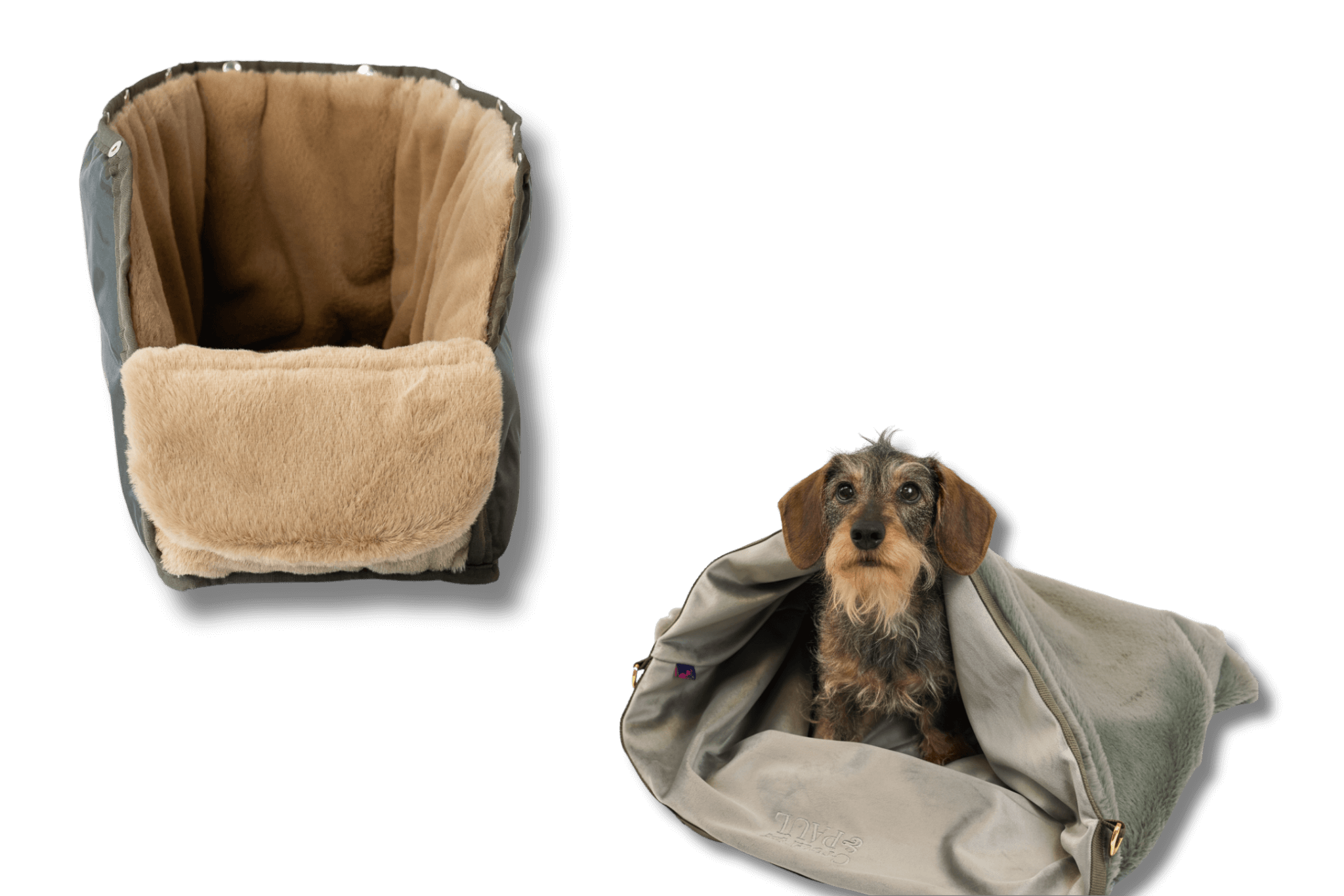 Dackeldame Greta sitzt im grau-grün-silbernen Kuschel-Wende-Säckchen; daneben ist das beige-goldene Inlay für die Hundetasche.