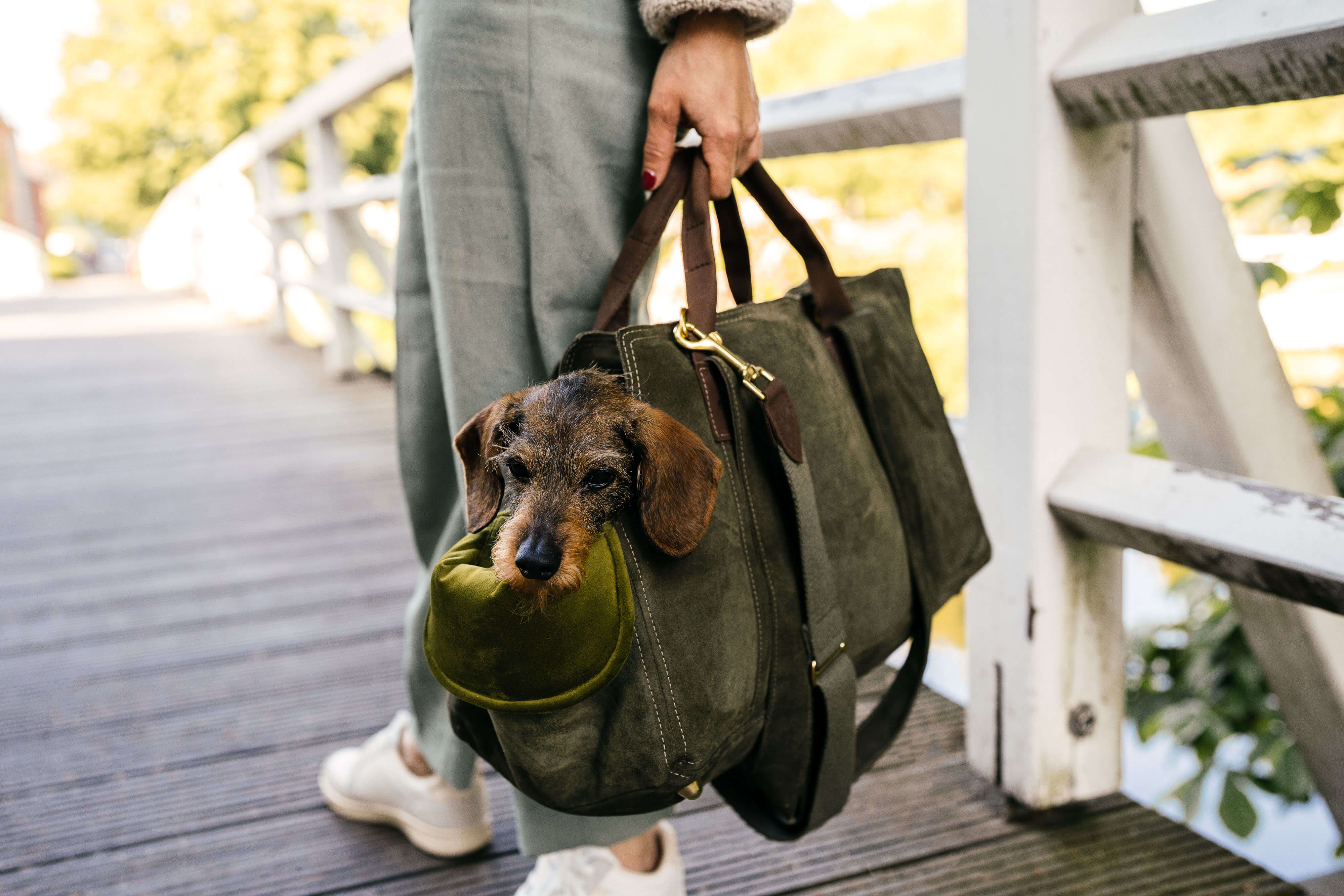 Julia hält die Greta & PAUL Luxus-Wildleder-Hundetasche in Khaki, in der die Dackeldame Gretchen sitzt. Ansicht von der Seite.