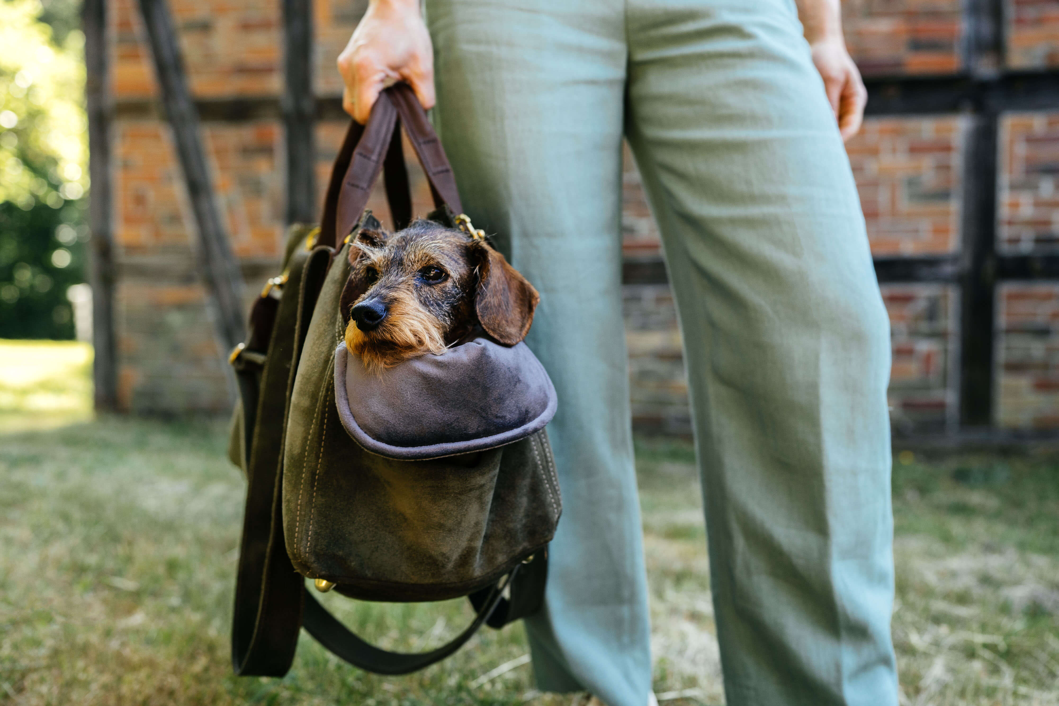 Julia hält die Greta & PAUL Luxus-Wildleder-Hundetasche in Khaki, in der die Dackeldame Gretchen sitzt. Ansicht von vorne.