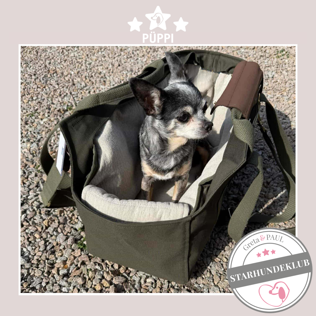 Starhundeklub-Mitglied Püppi sitzt in ihrer handgefertigten Greta & PAUL Canva Hundetasche mit Leinen-Inlay.