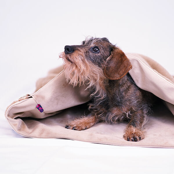 Greta's 3-in-1 reversible fluffy bag