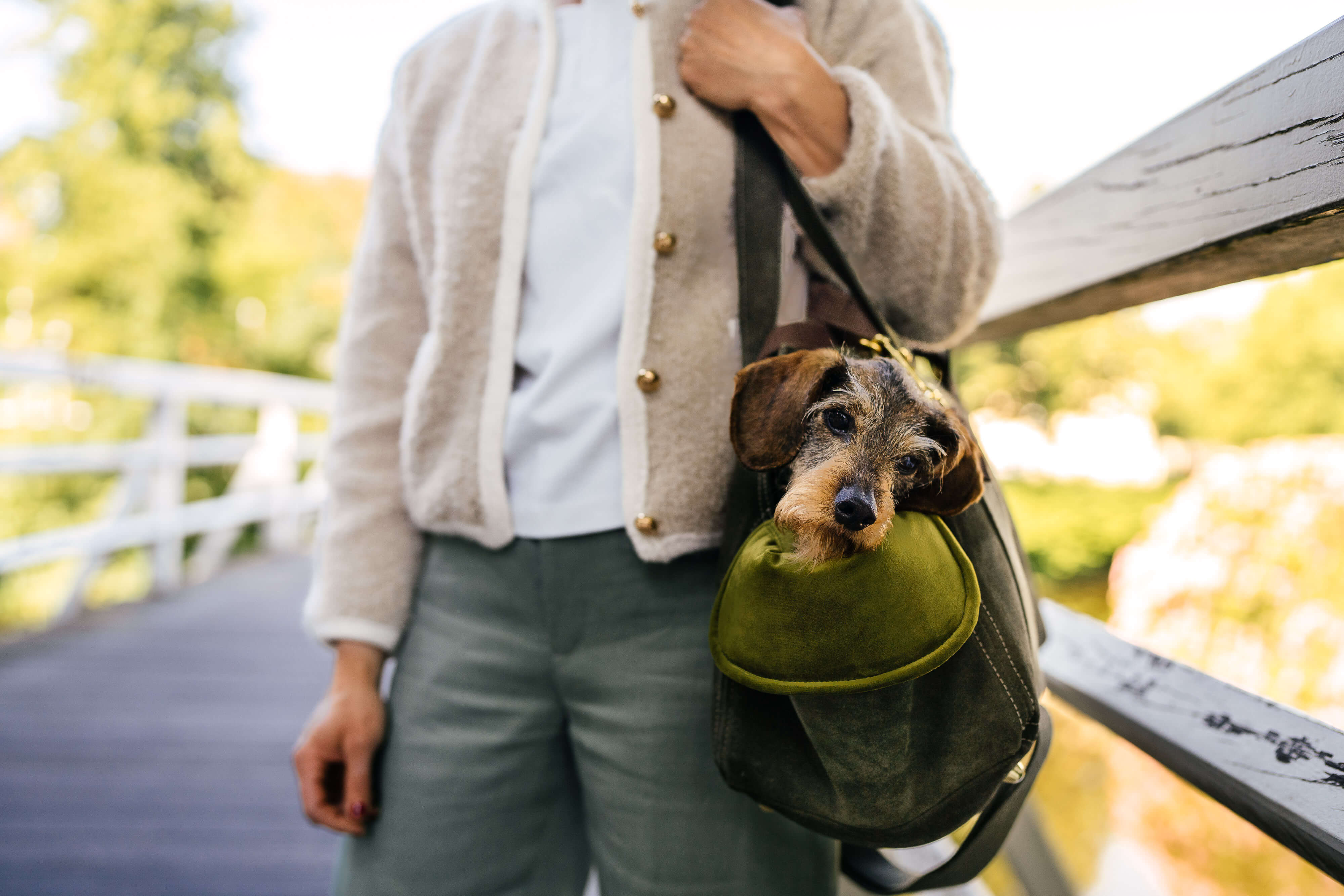 Greta's Luxury Suede Dog Bag