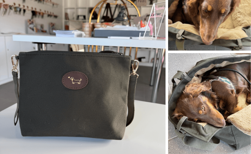 Bildcollage von Greta's Secret Täschchen: Das Geheimfach in Khaki als Clutch und eingehängt in der Hundetasche mit einem Hund.