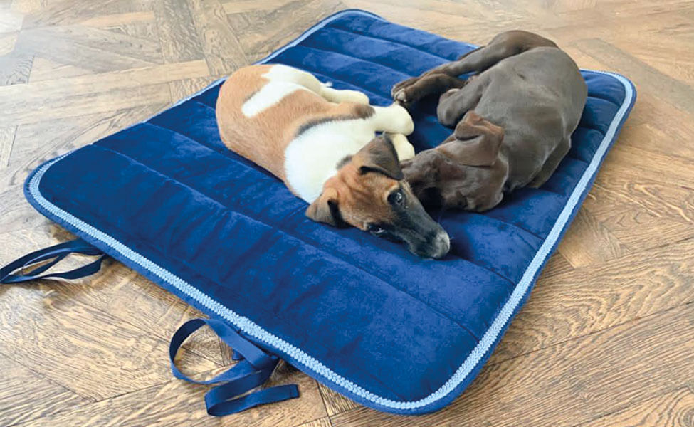 Dunkelblaues Greta & PAUL Hundepad, auf dem zwei Hunde es sich gemütlich gemacht haben.