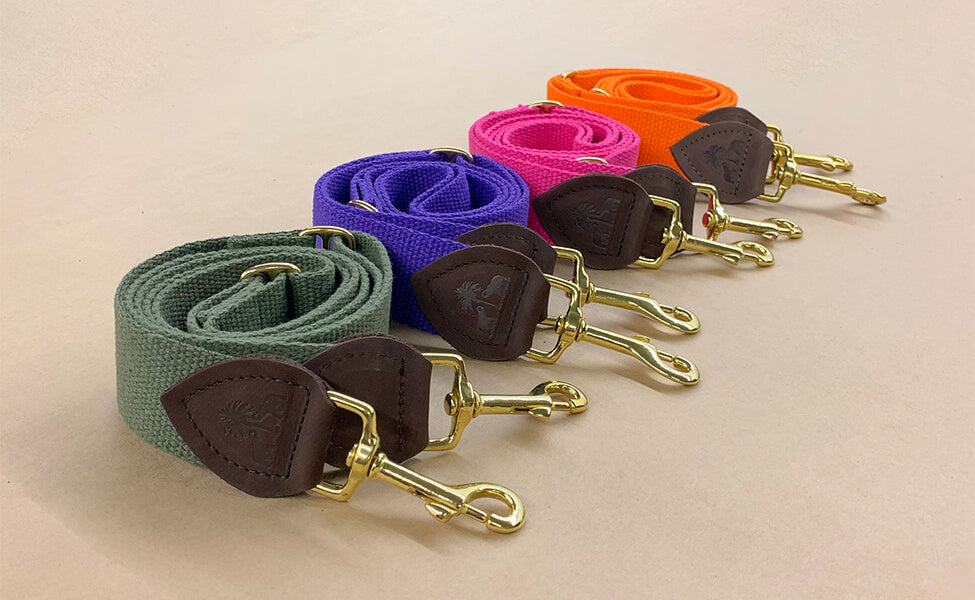 Shoulder strap for Greta's dog bag