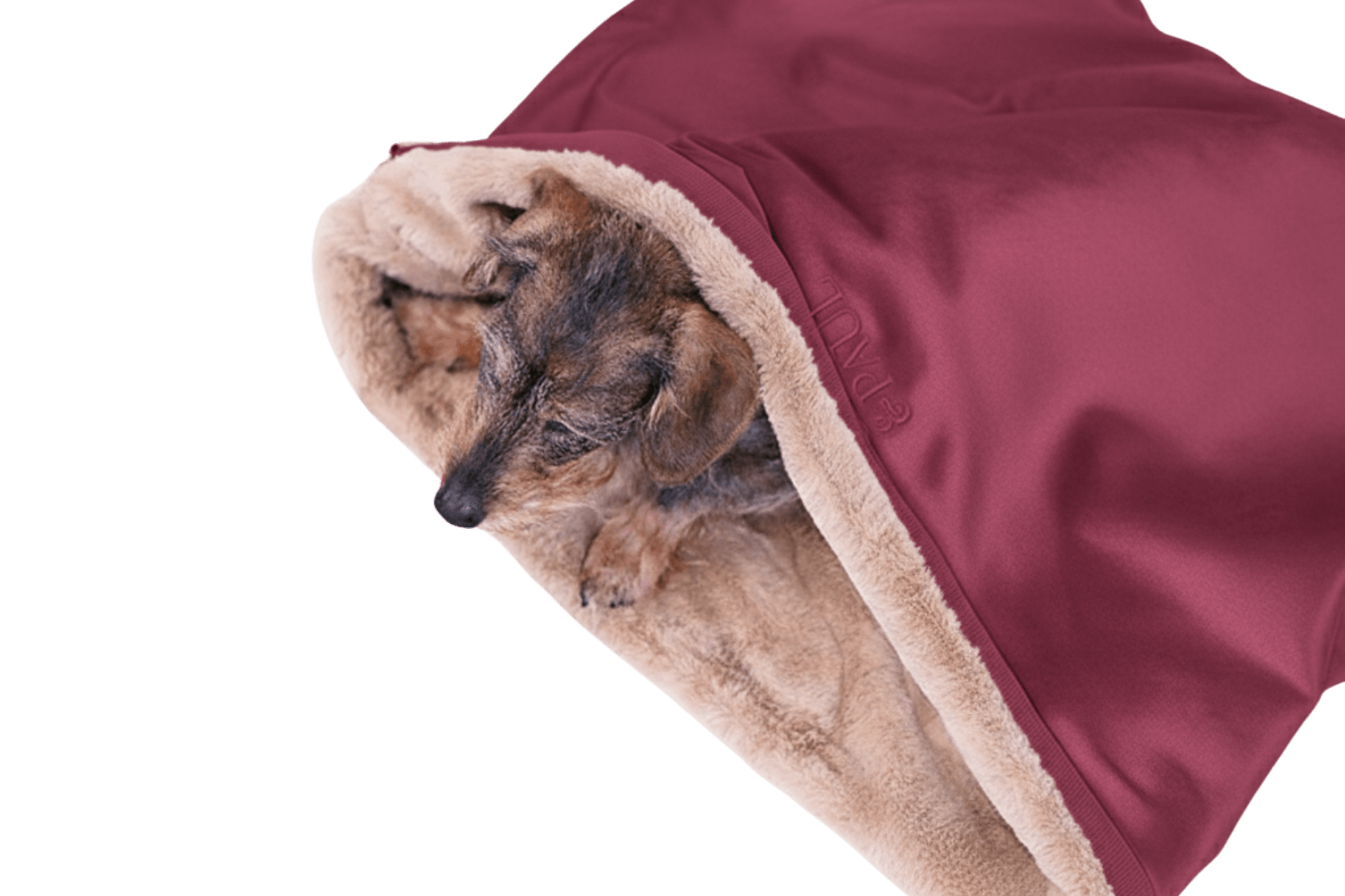 Dackeldame Gretchen kuschelt sich gemütlich in das Greta's Flausch-Wende-Säckchen in Bordeaux-Beige.
