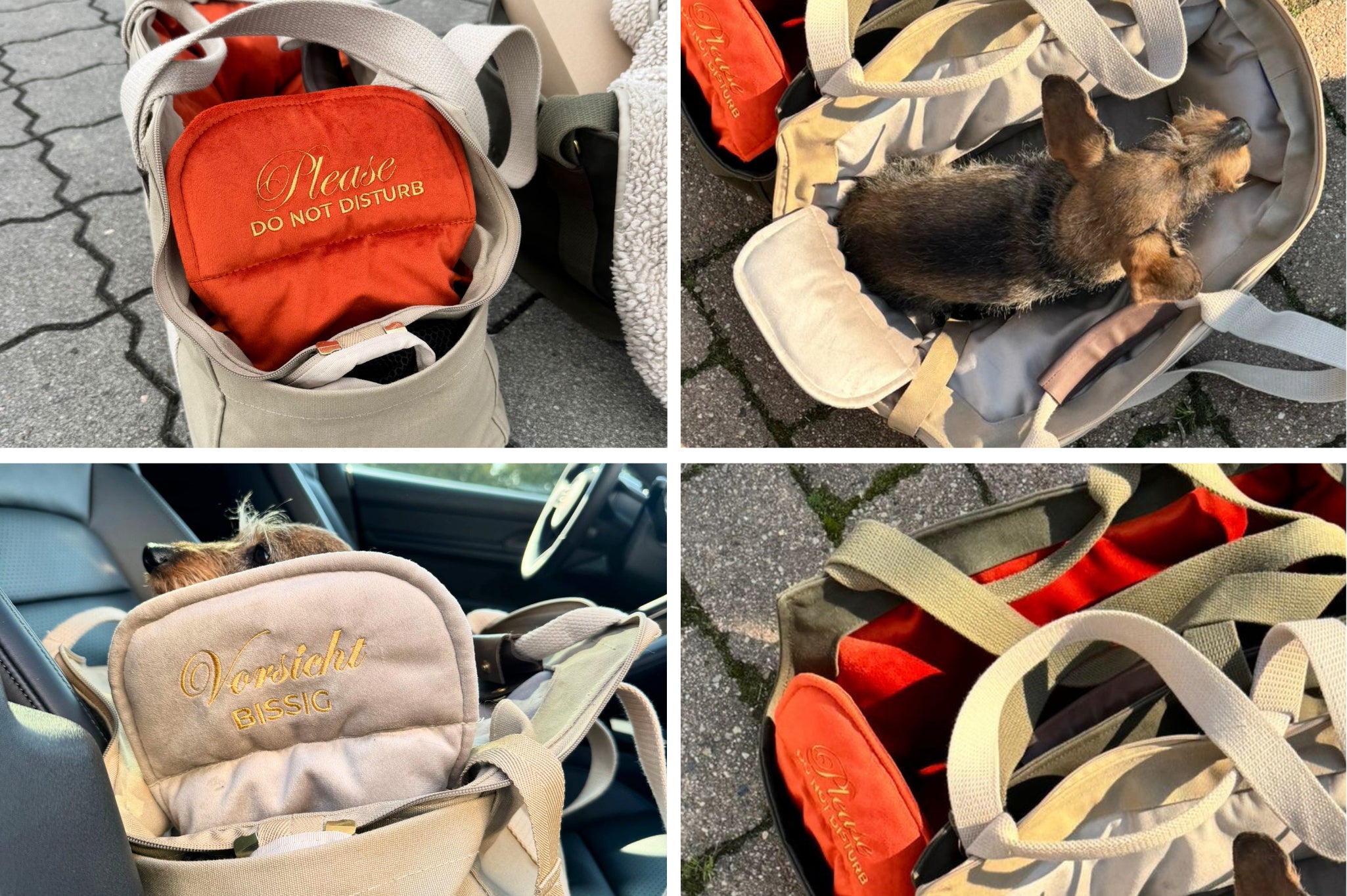 Gretas Samtgeheimnis - Samt Inlay mit Spruch - Zu sehen ist eine Bildcollage mit zwei Sprüchen