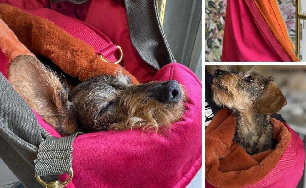 Bildcollage der Hundetasche 'Flausch-Säckchen' in Pink-Orange mit Dackel Gretchen, die gemütlich darin schläft und sitzt.