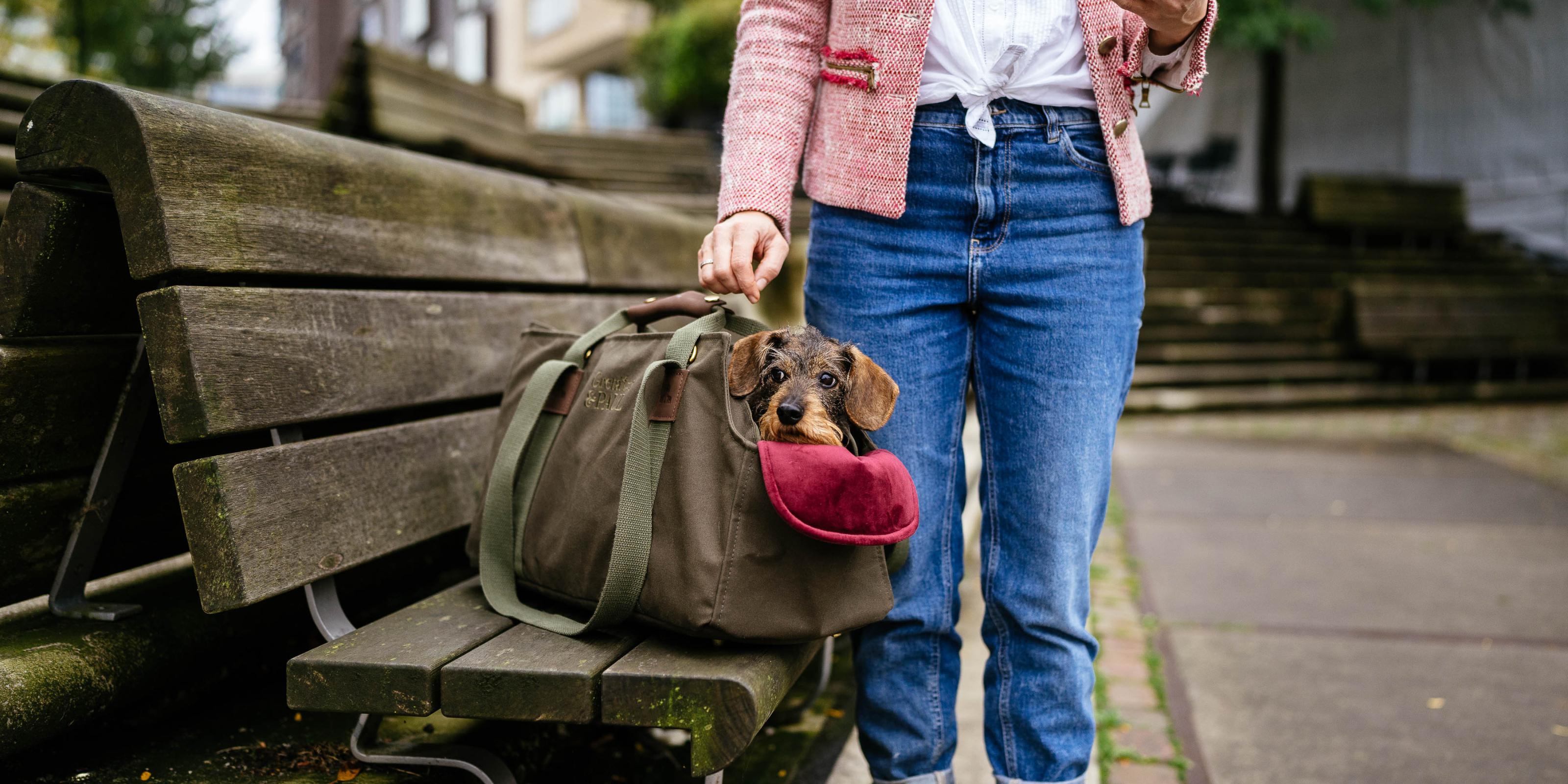 Unsere Bestseller: Handgefertigte Greta & PAUL Premium-Hundetasche mit Dackeldame Gretchen auf einer Parkbank in Hamburg.
