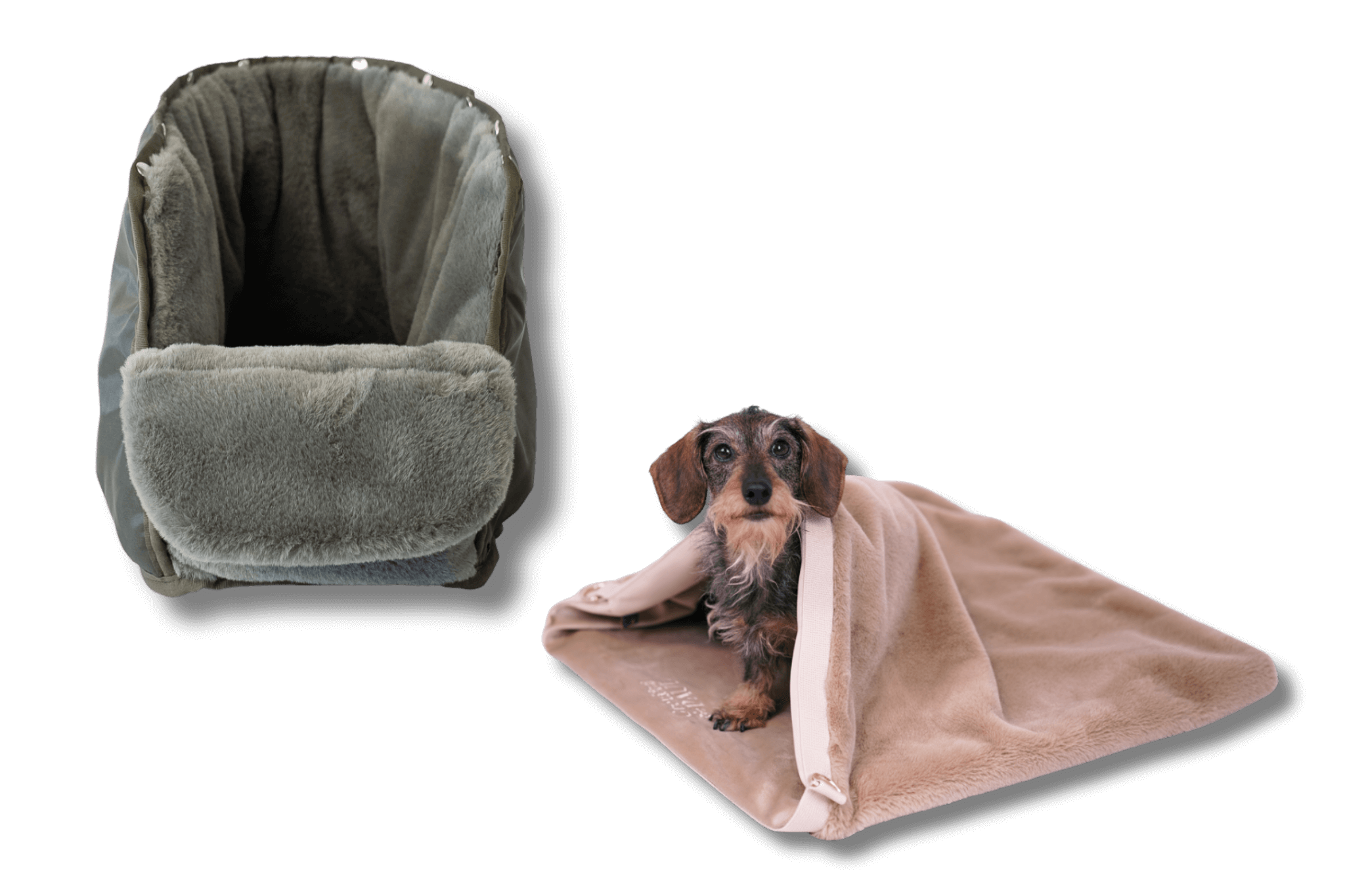 Dackeldame Greta sitzt im beige-goldenen Kuschel-Wende-Säckchen; daneben das grau-grün-silberne Inlay für die Hundetasche.
