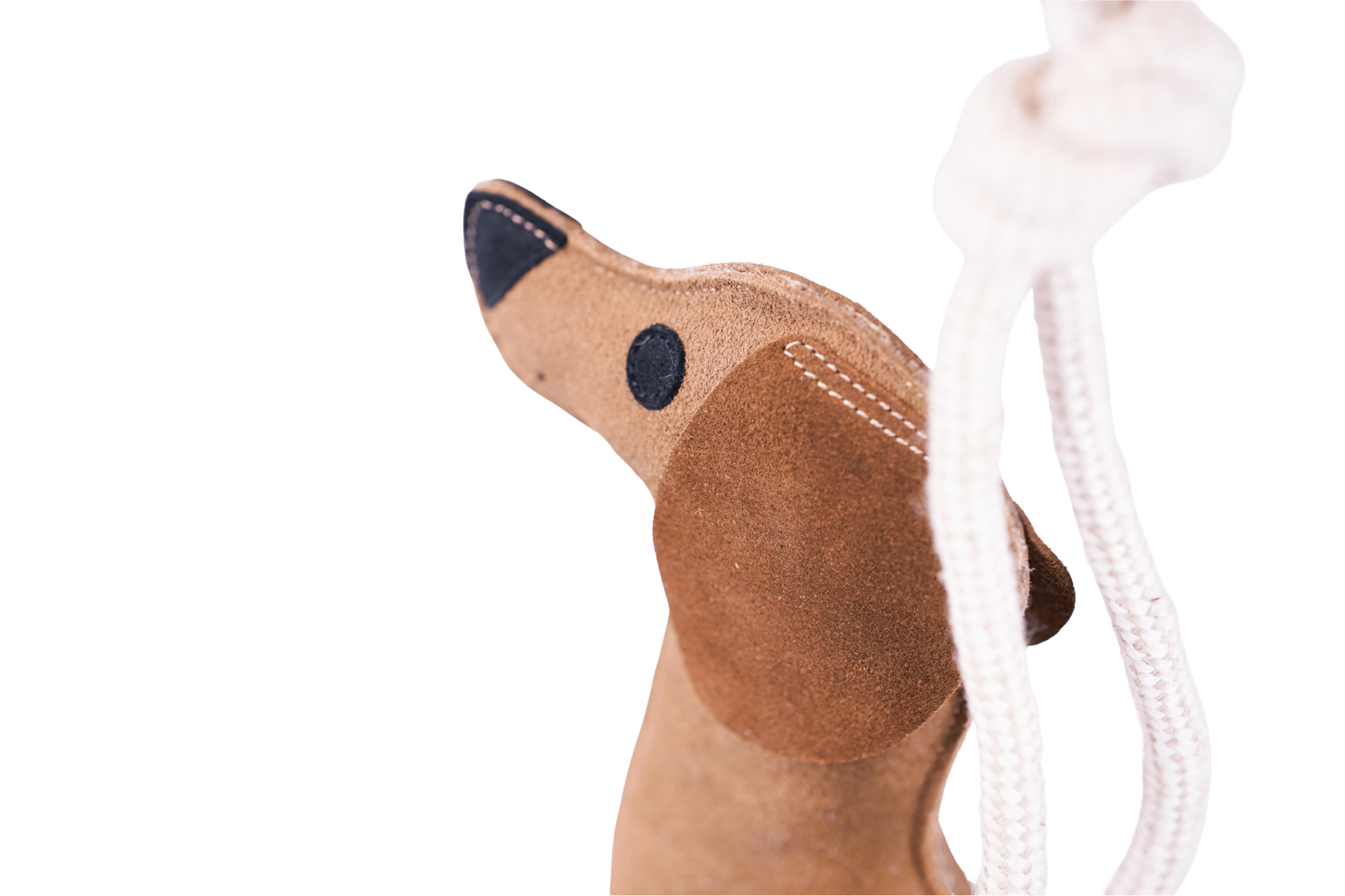 Detailaufnahme vom Kopf des Leder-Spielzeugdackels 'Paule', die die hochwertigen Nähte und das robuste Tau zeigt.
