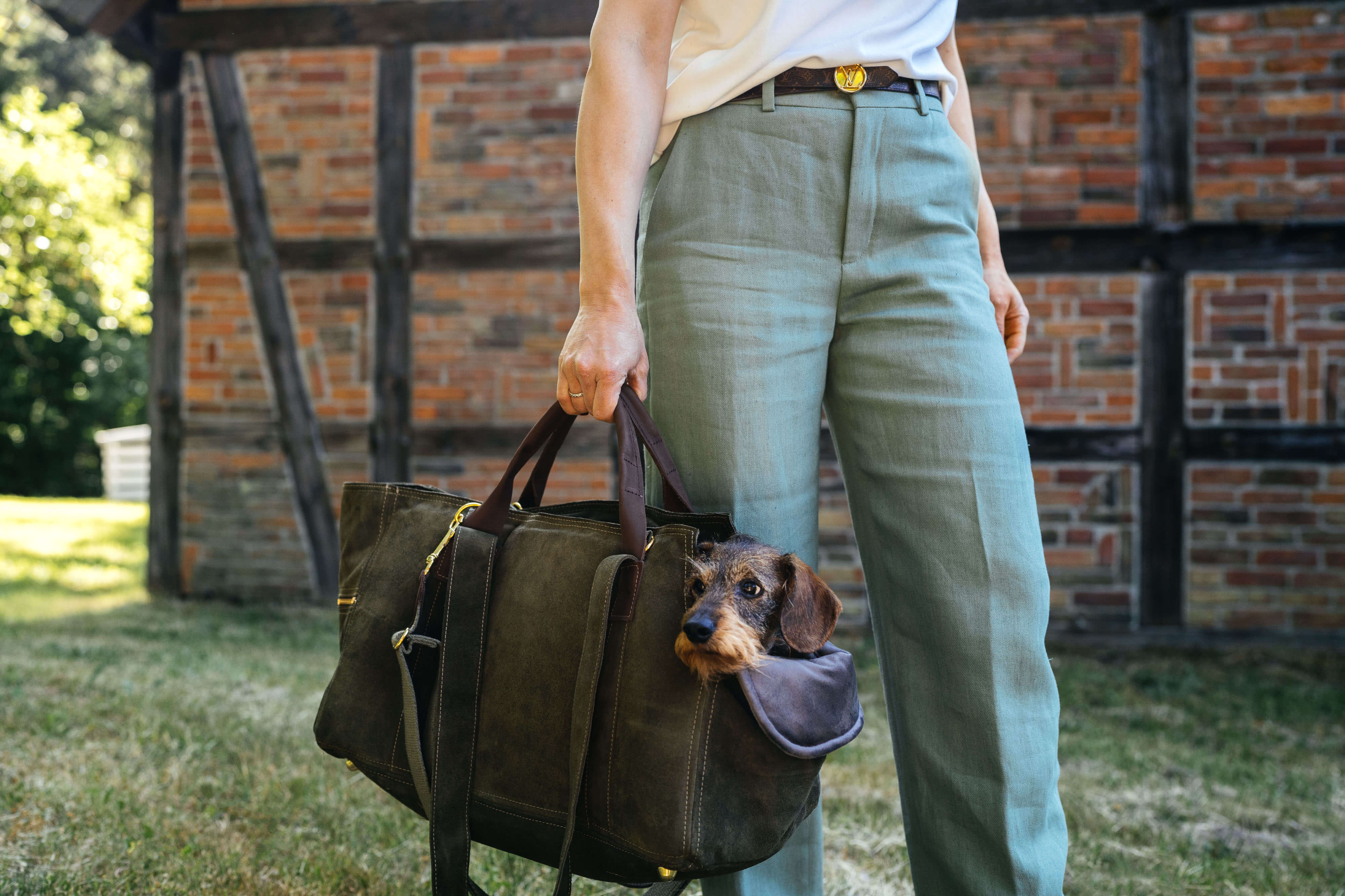 Trageansicht der Greta & PAUL Wildleder-Hundetasche in Khaki mit der Dackeldame Gretchen.